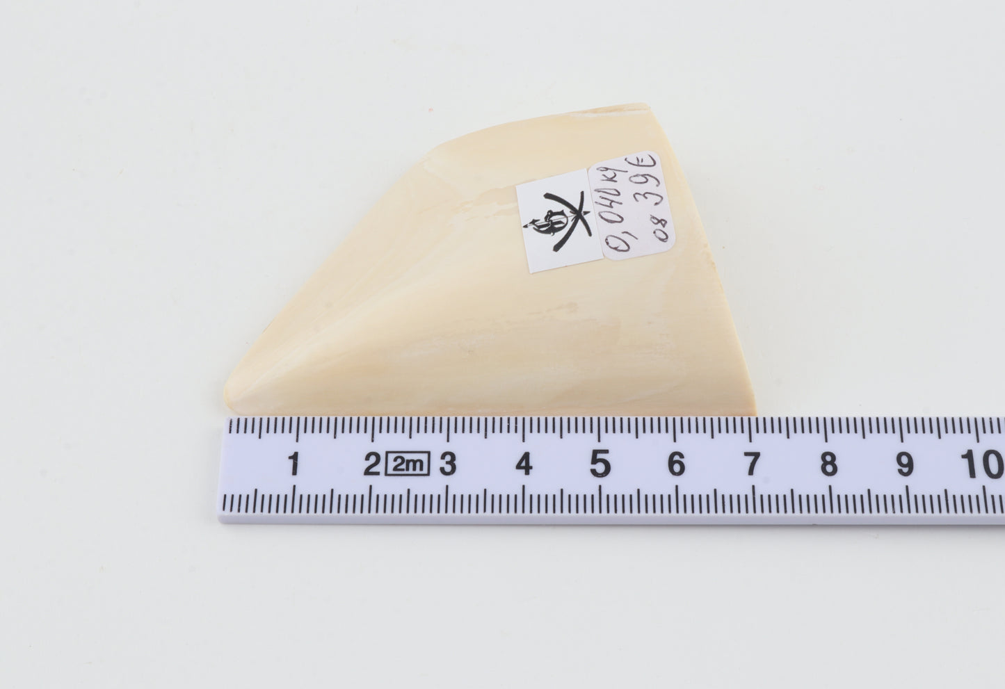 White mammoth ivory piece