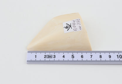 White mammoth ivory piece