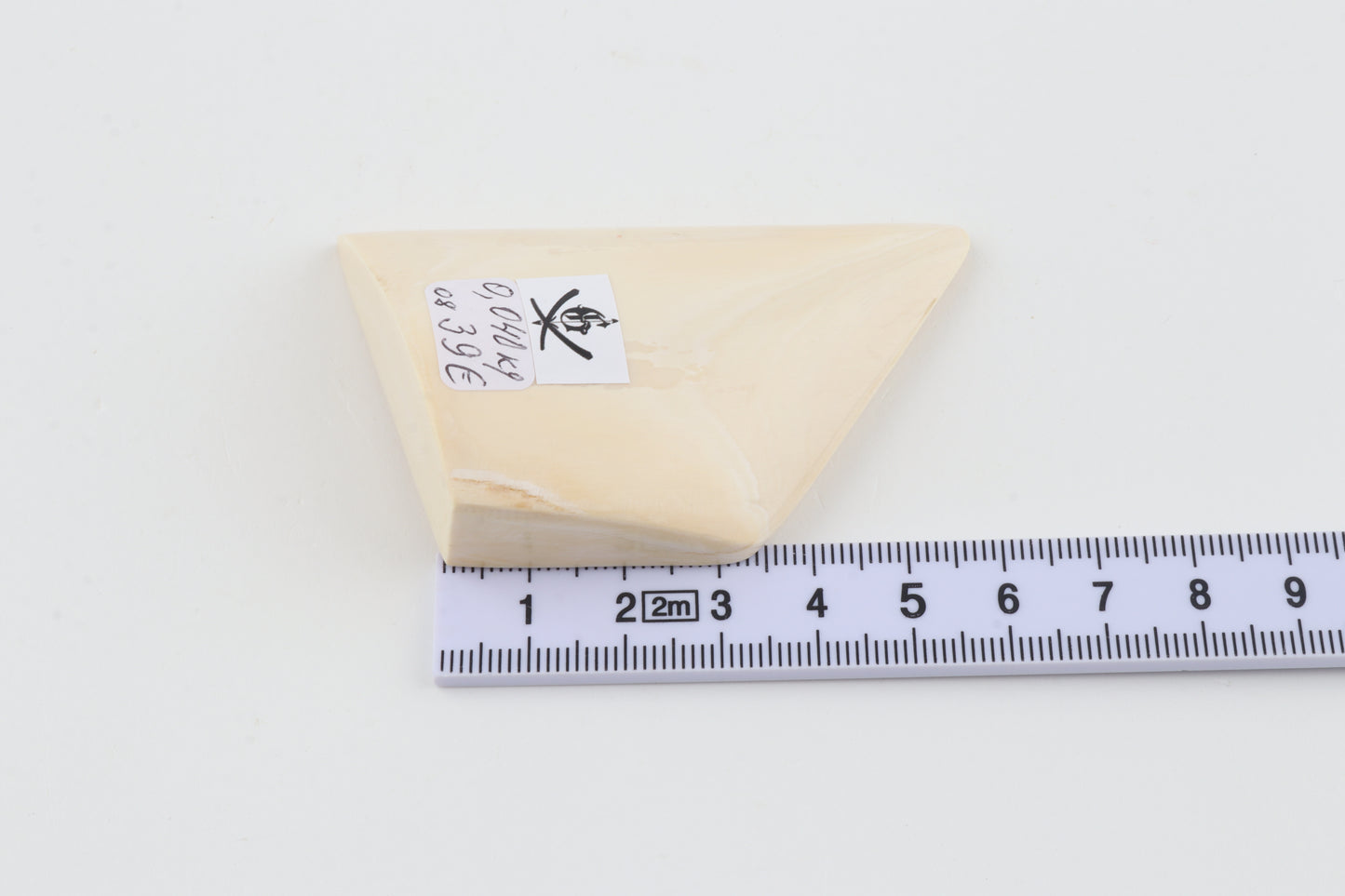 White mammoth ivory piece