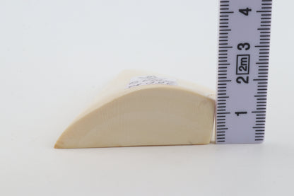 White mammoth ivory piece