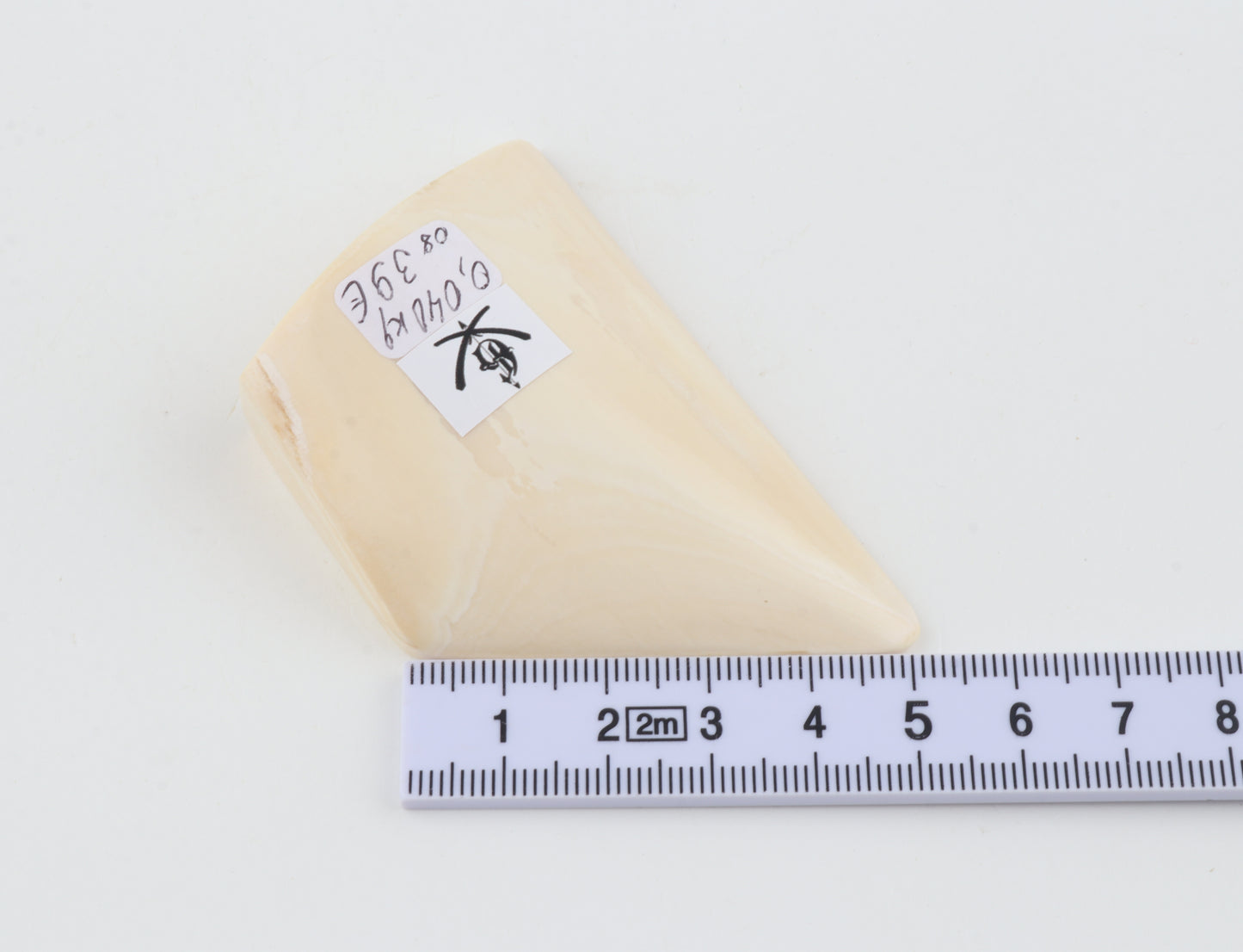 White mammoth ivory piece