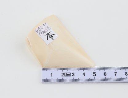 White mammoth ivory piece