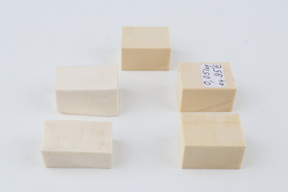 White mammoth ivory pieces