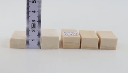 White mammoth ivory pieces