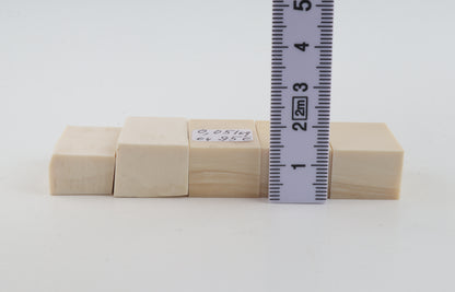 White mammoth ivory pieces