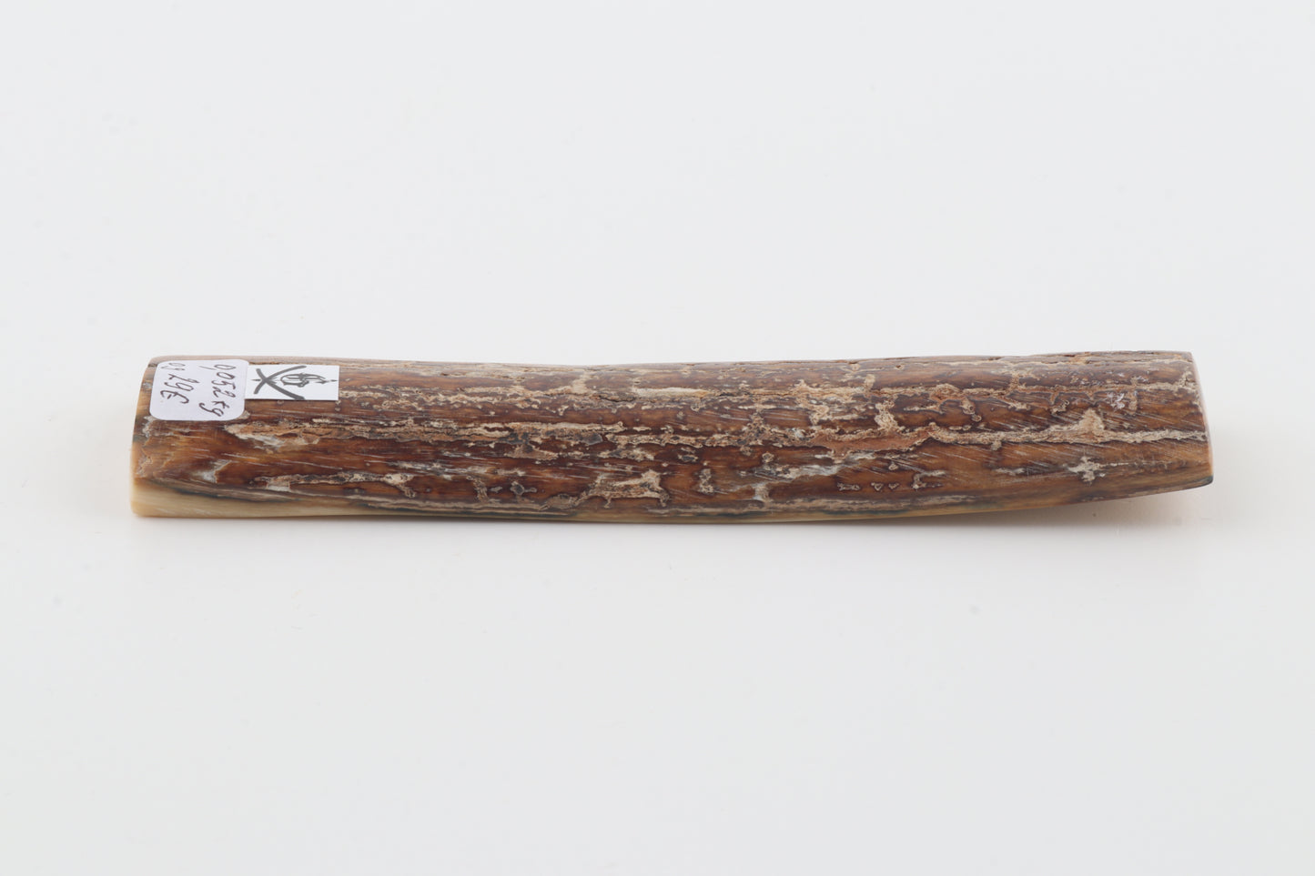 Brown-creme mammoth bark