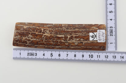 Brown-creme mammoth bark