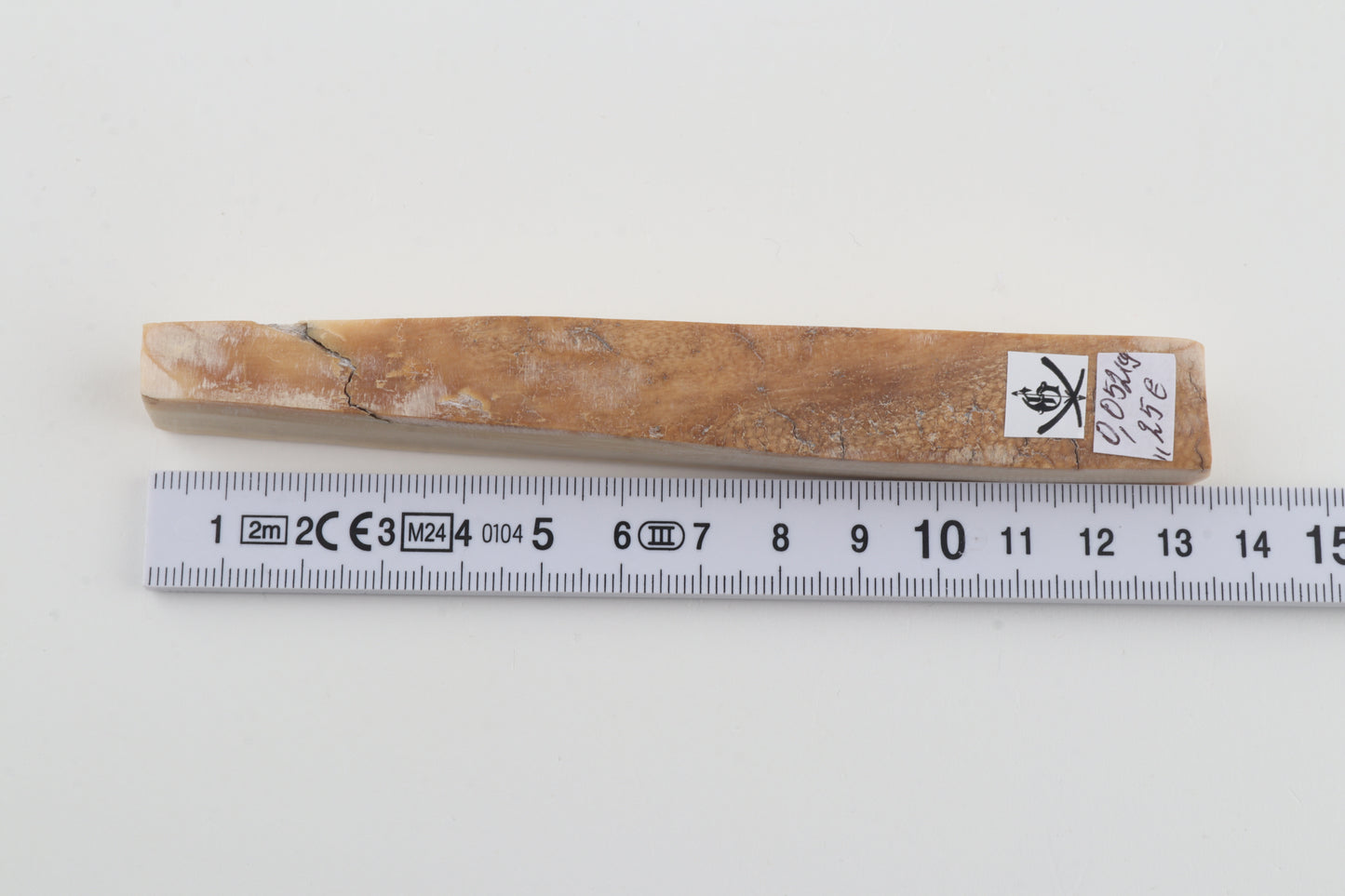 Natural mammoth ivory piece