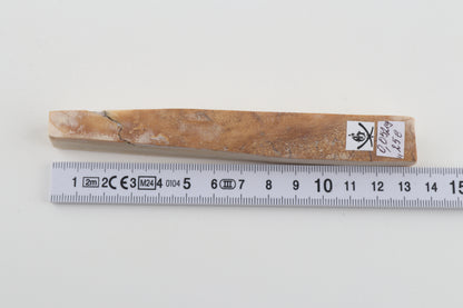 Natural mammoth ivory piece