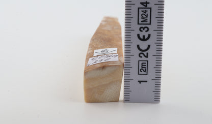 Natural mammoth ivory piece