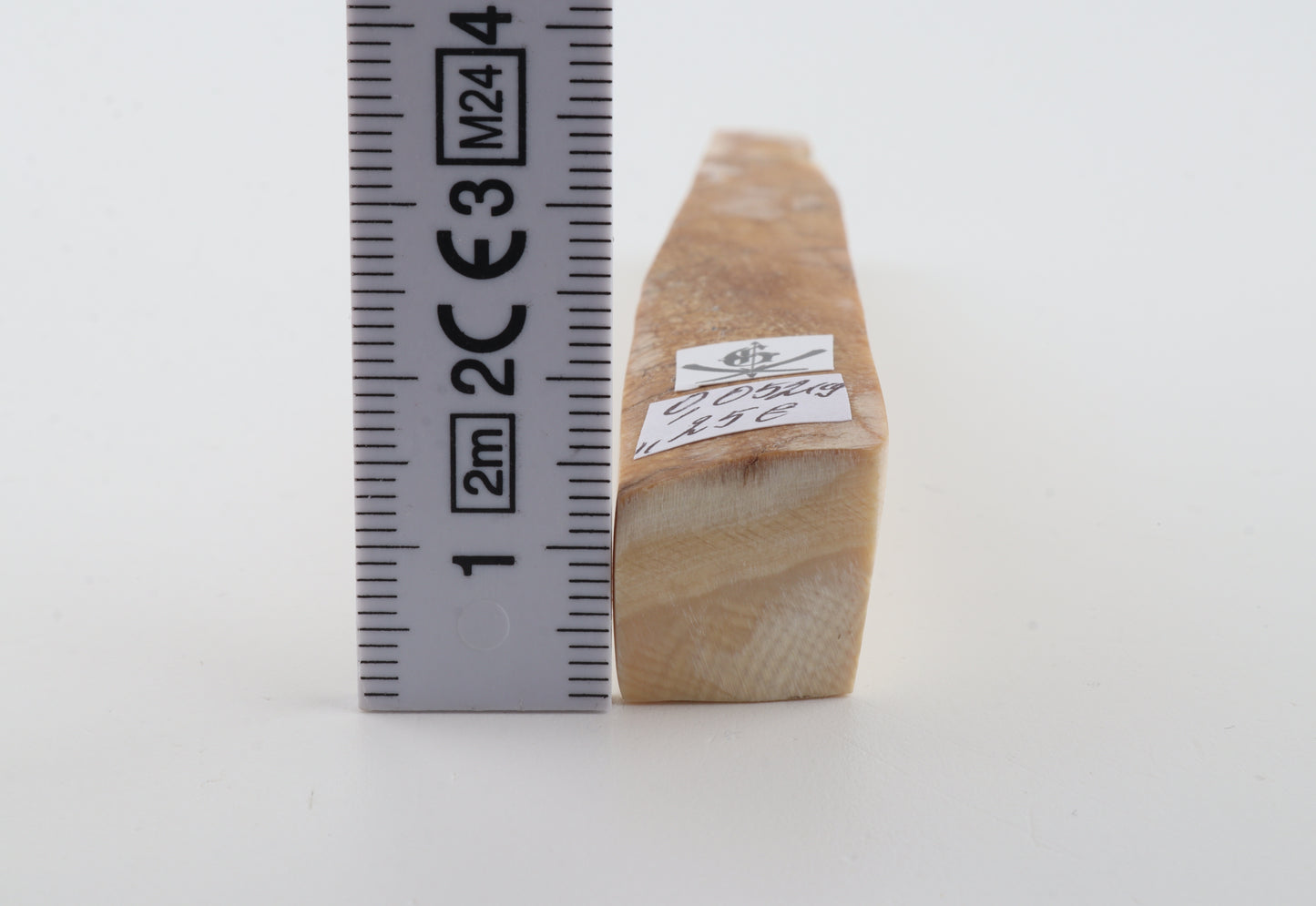 Natural mammoth ivory piece