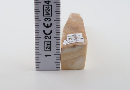 Natural mammoth ivory piece