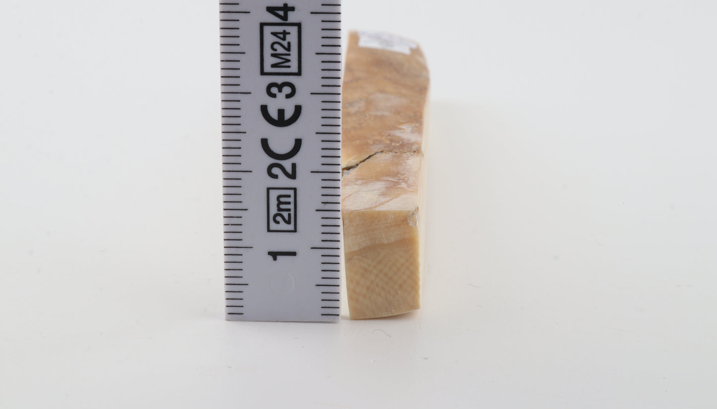 Natural mammoth ivory piece