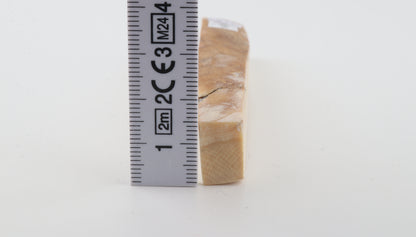 Natural mammoth ivory piece