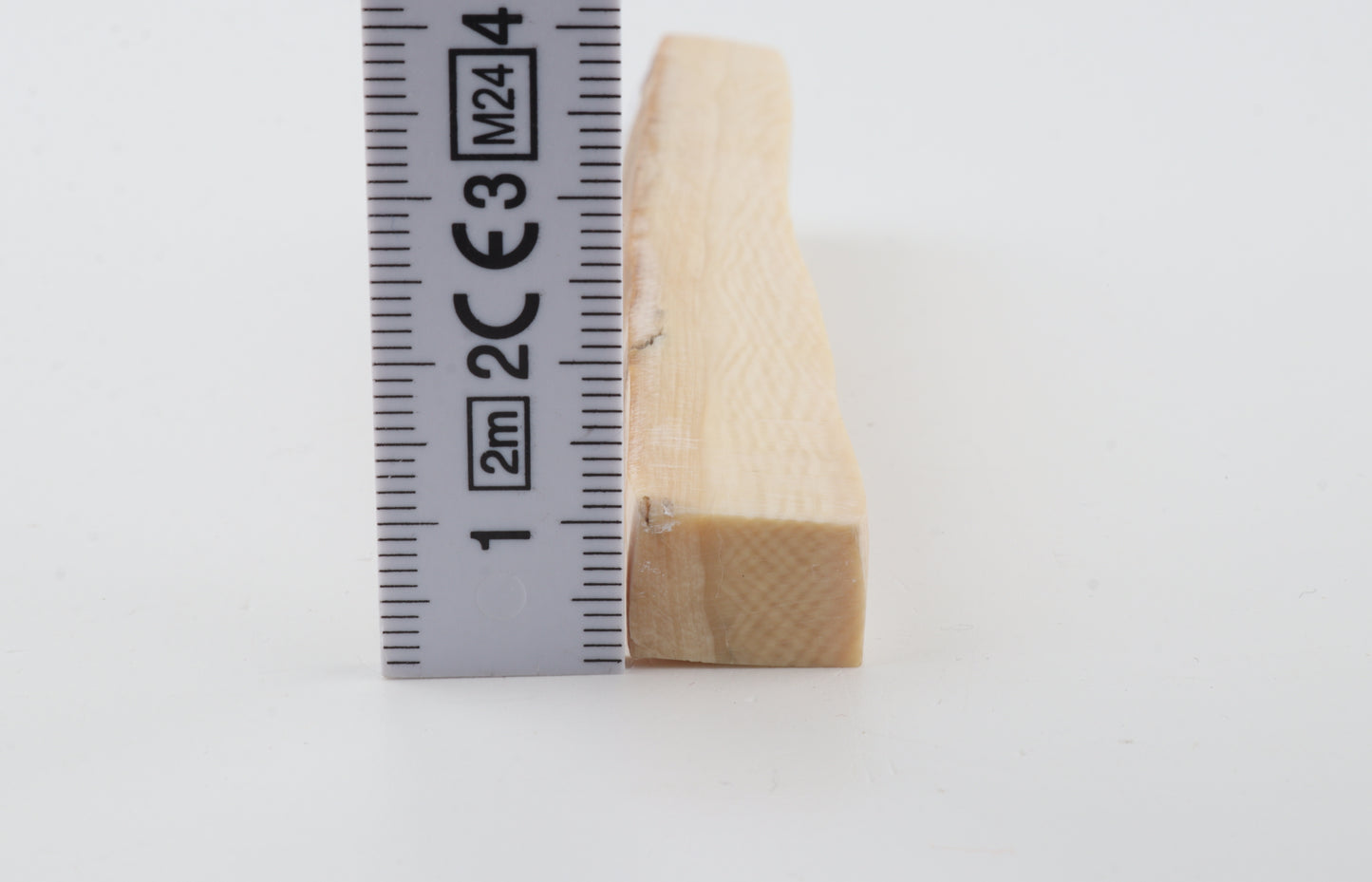 Natural mammoth ivory piece