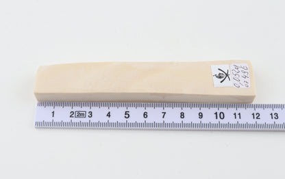 White mammoth ivory segment