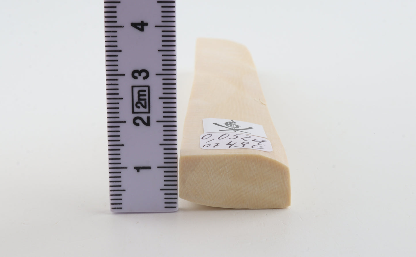 White mammoth ivory segment