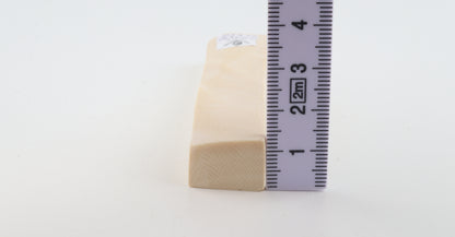 White mammoth ivory segment