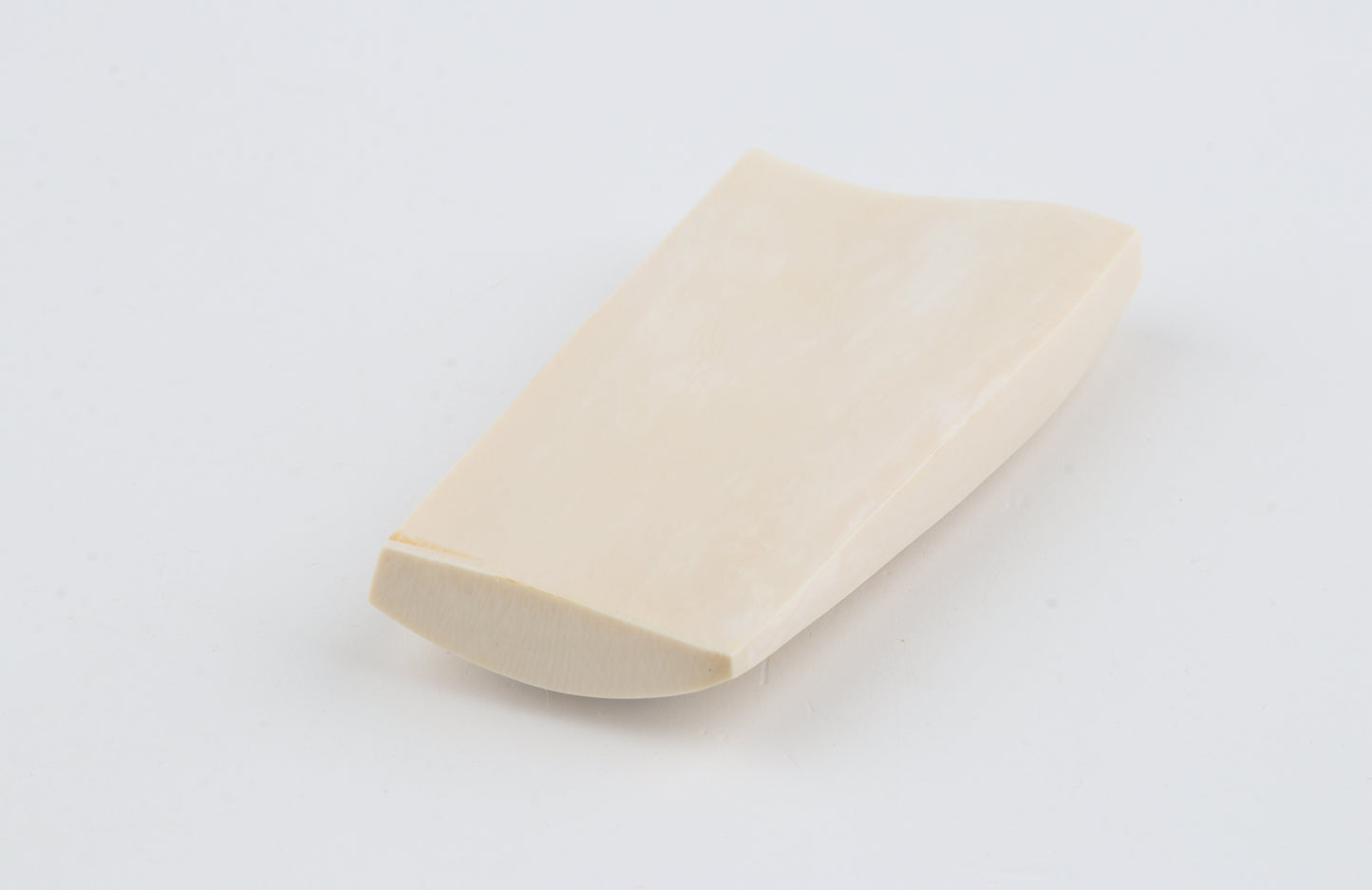 White mammoth ivory segment