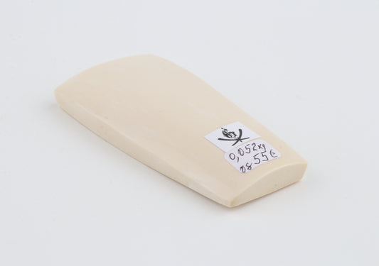 White mammoth ivory segment