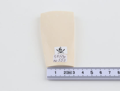 White mammoth ivory segment