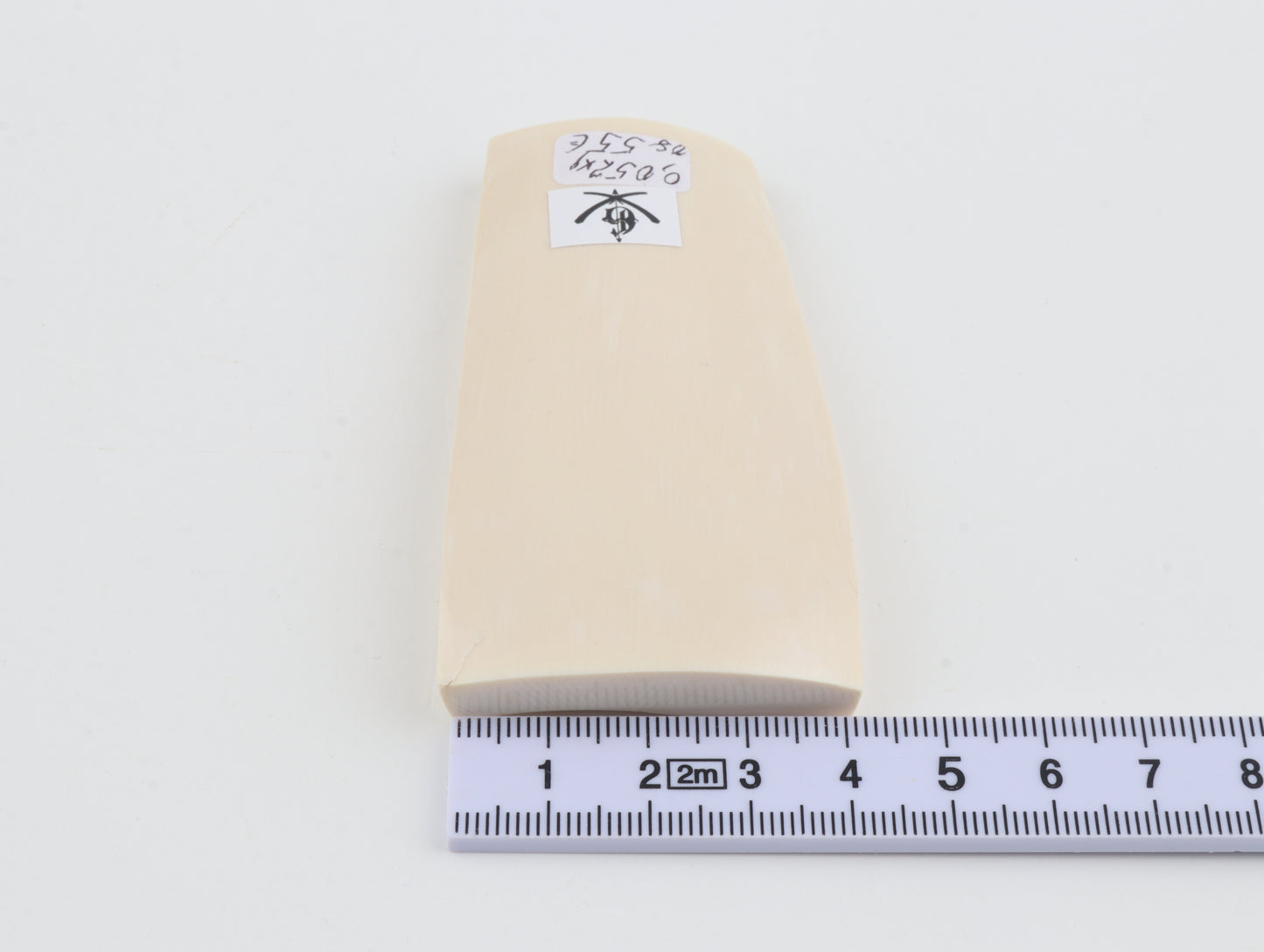 White mammoth ivory segment