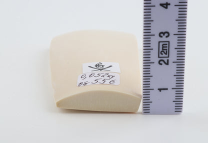 White mammoth ivory segment