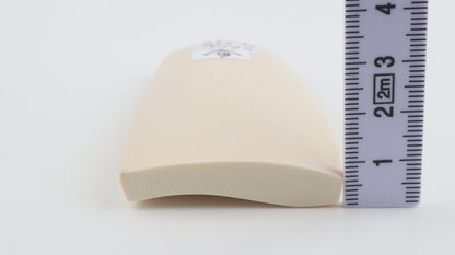 White mammoth ivory segment