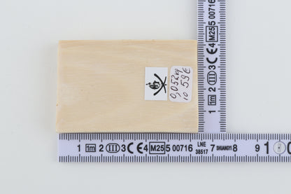 White mammoth ivory piece