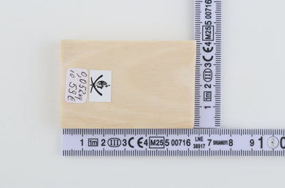 White mammoth ivory piece