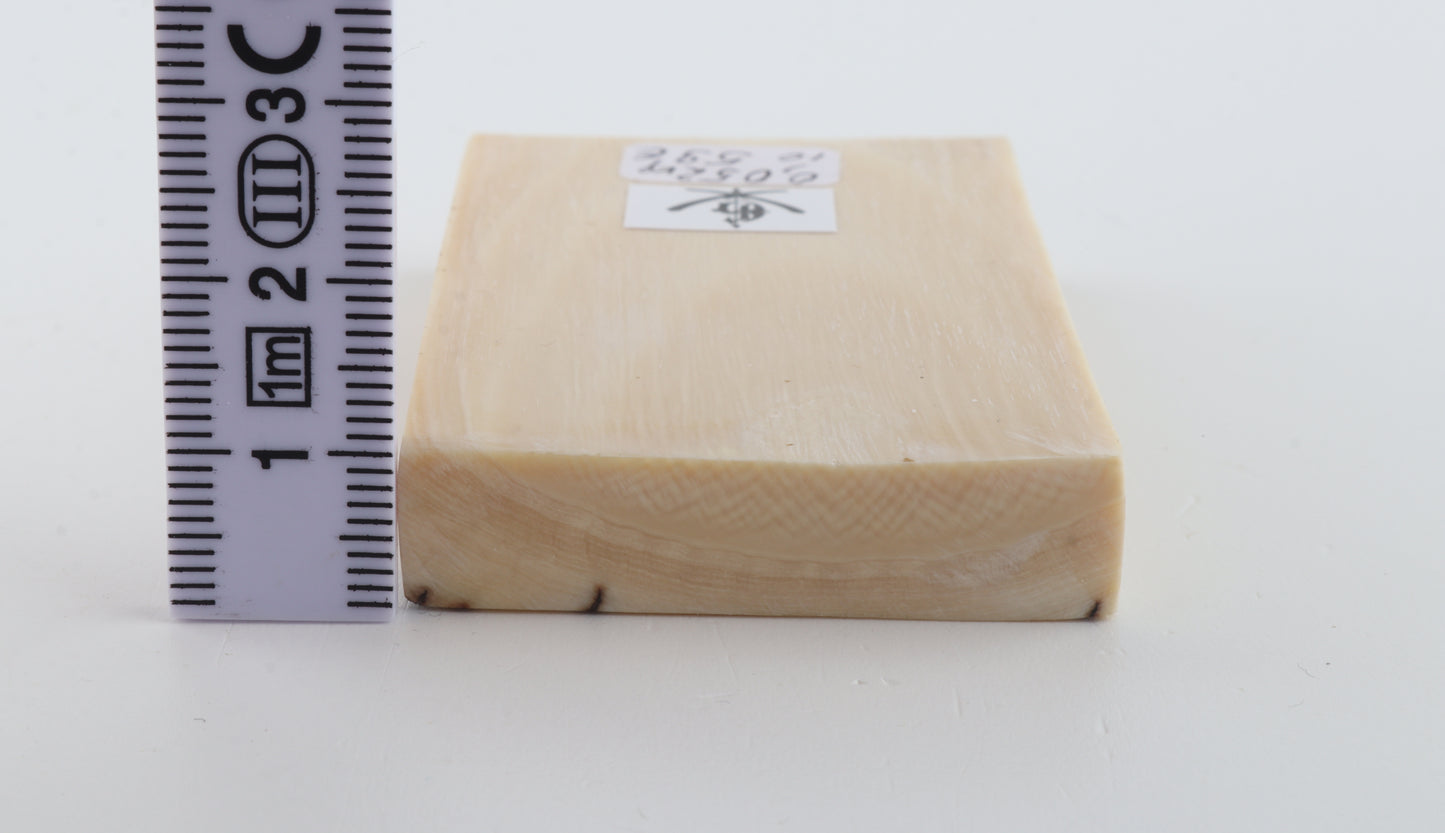 White mammoth ivory piece