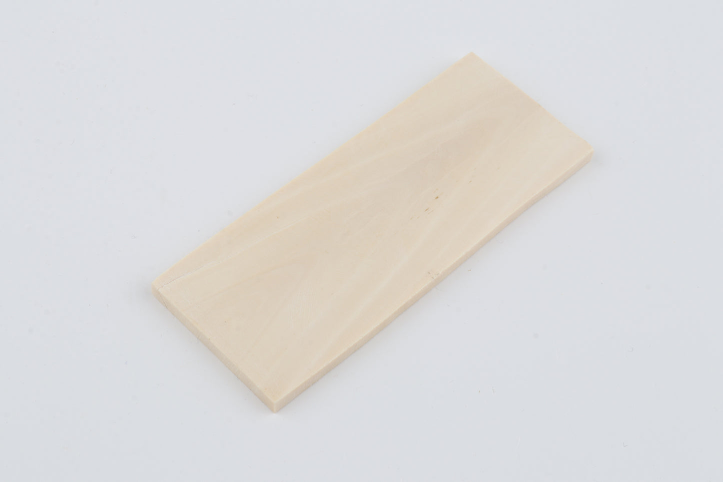 White mammoth ivory segment