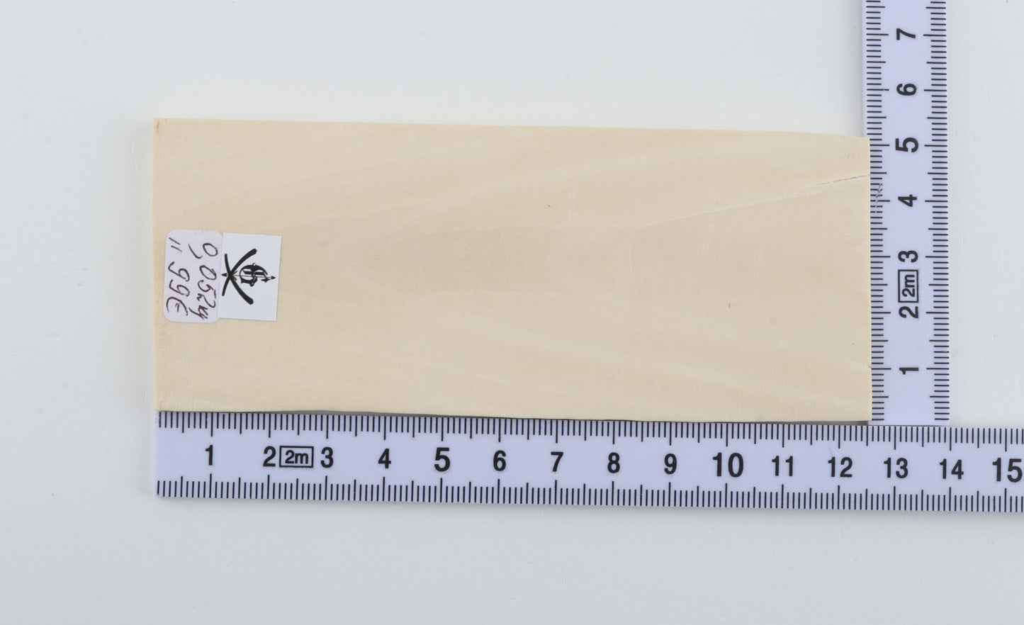 White mammoth ivory segment