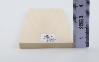 White mammoth ivory segment