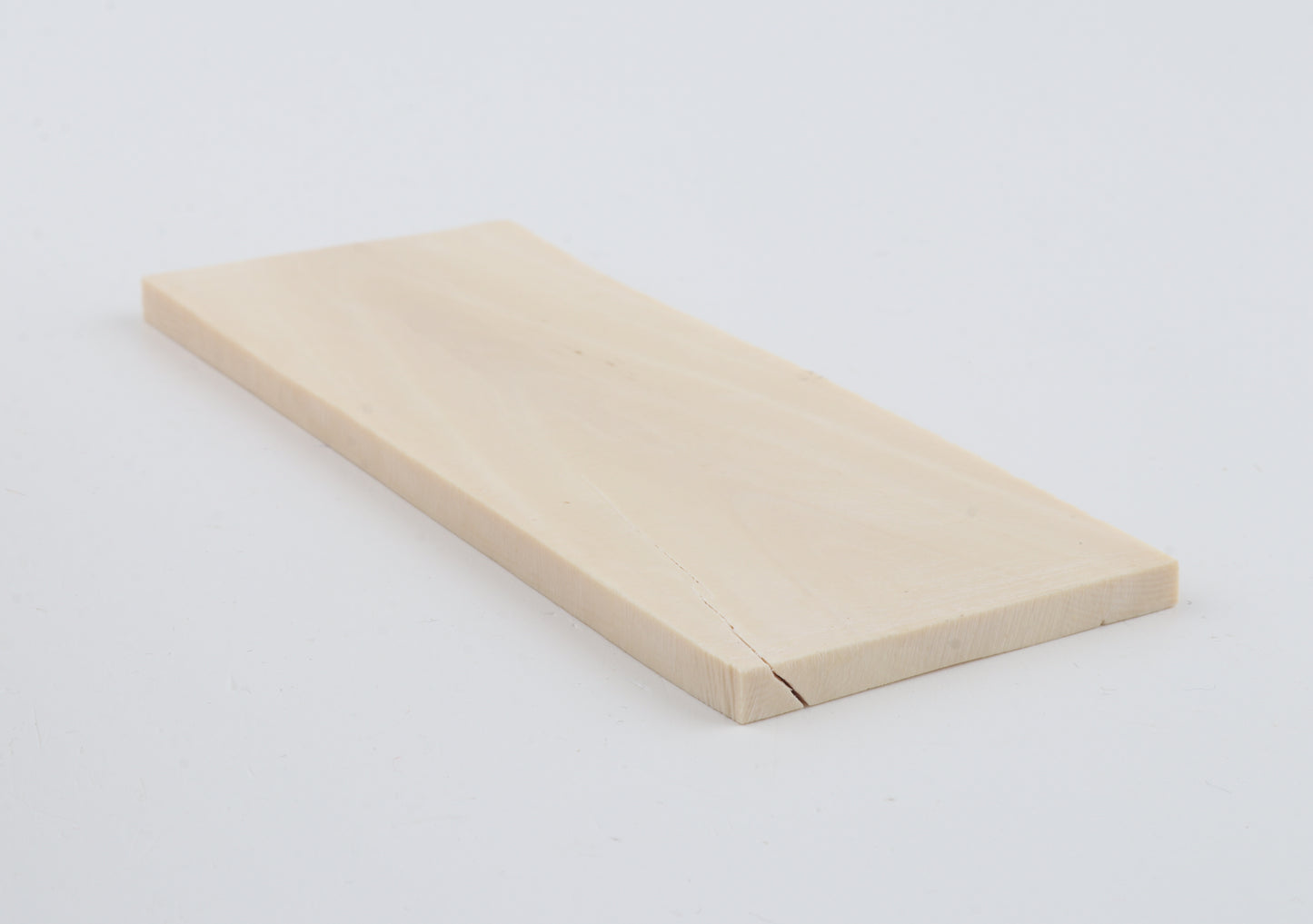 White mammoth ivory segment