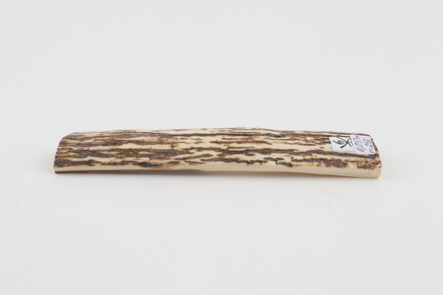 White-brown mammoth bark
