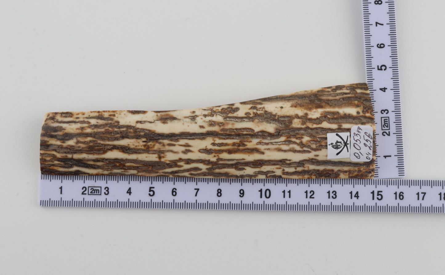 White-brown mammoth bark