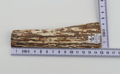 White-brown mammoth bark