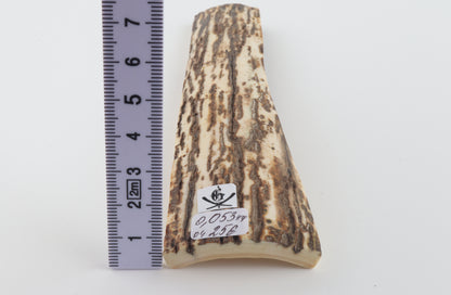 White-brown mammoth bark