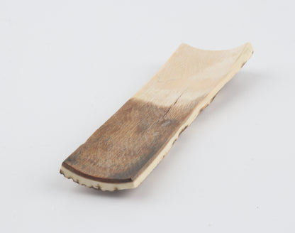 White-brown mammoth bark