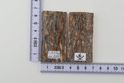 Scaglie di corteccia di mammut naturale
