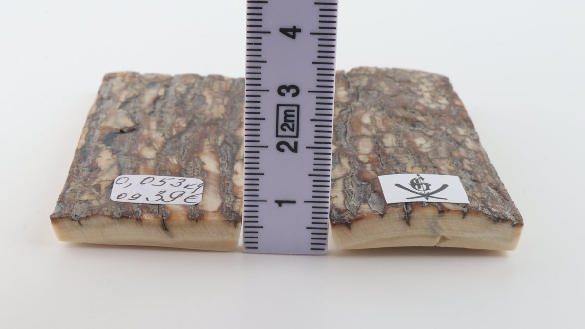 Scaglie di corteccia di mammut naturale