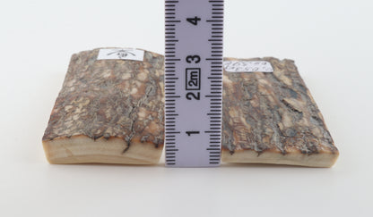 Scaglie di corteccia di mammut naturale