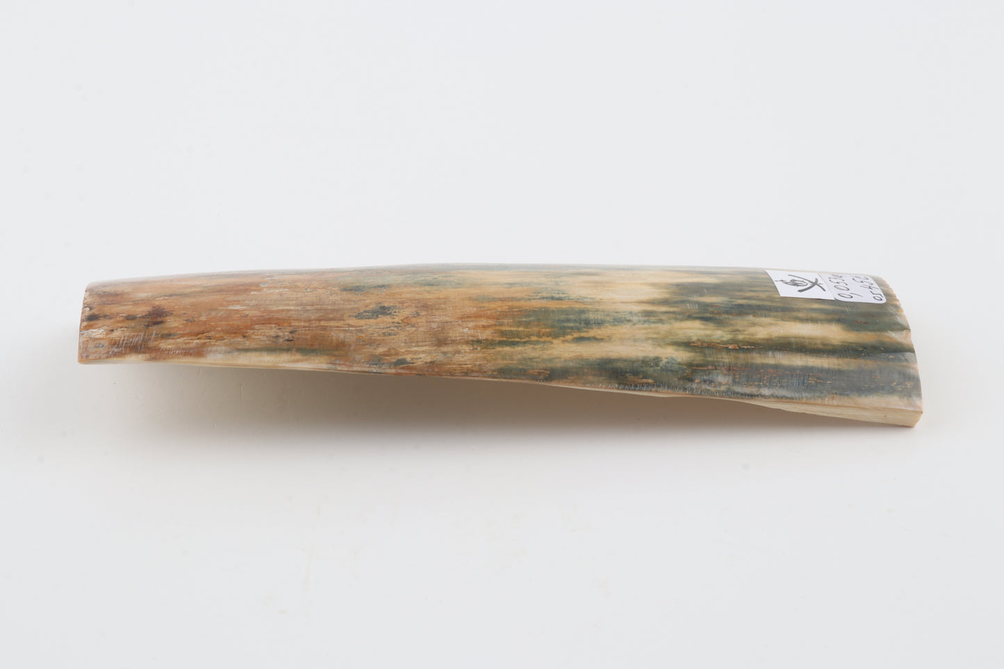 Natural mammoth bark
