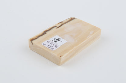 White mammoth ivory segment