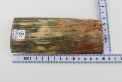 Natural mammoth bark