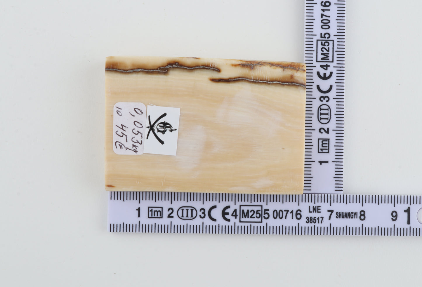 White mammoth ivory segment