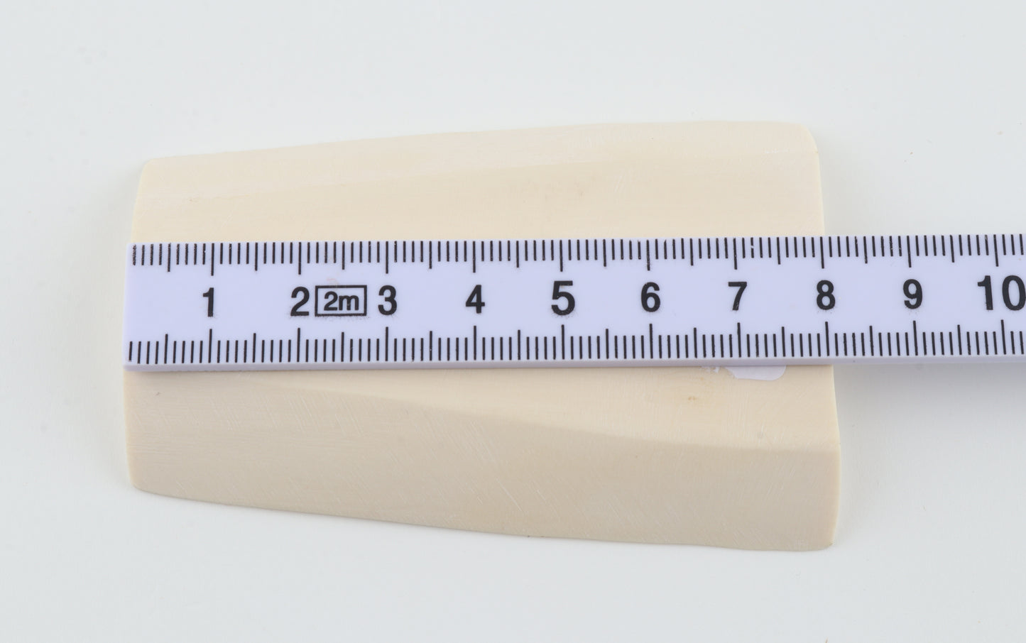 White mammoth ivory segment