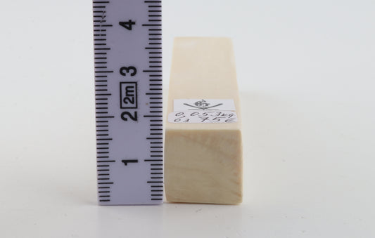 White mammoth ivory segment