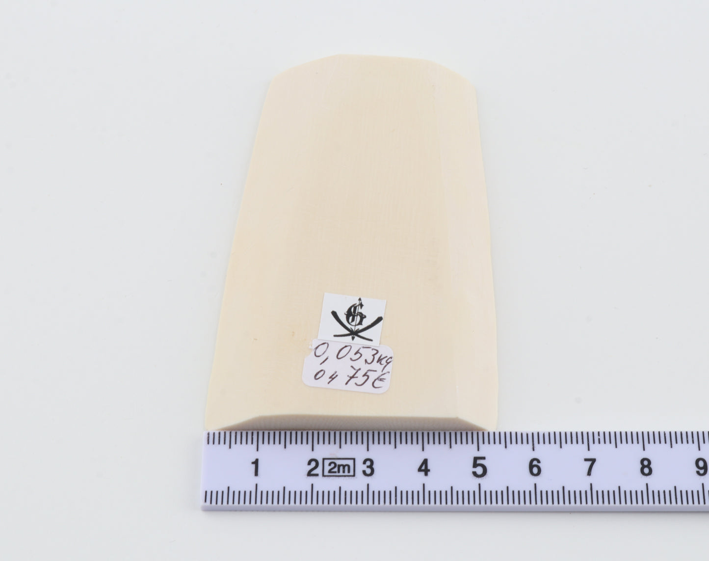 White mammoth ivory segment